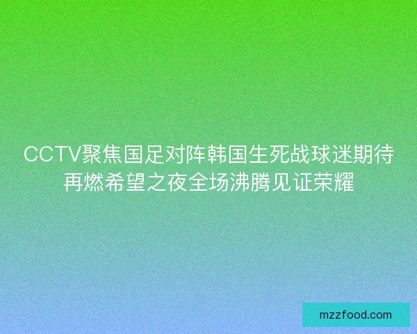 CCTV聚焦国足对阵韩国生死战球迷期待再燃希望之夜全场沸腾见证荣耀
